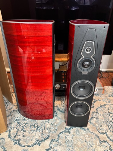 Sonus faber amati - sonus, homage